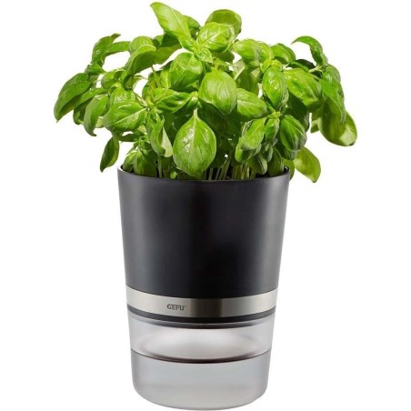 GEFU BOTANICO Smart Plant Pot - Stylish Black Transparent Design for Modern Living Spaces | SKU: 4006664189200